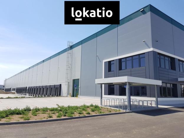 Pronájem skladu, Úžice, 5667 m2