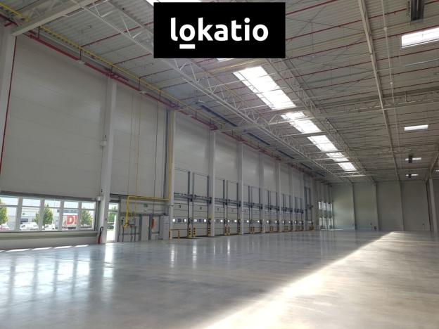 Pronájem skladu, Úžice, 14707 m2