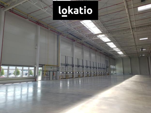 Pronájem skladu, Úžice, 14707 m2