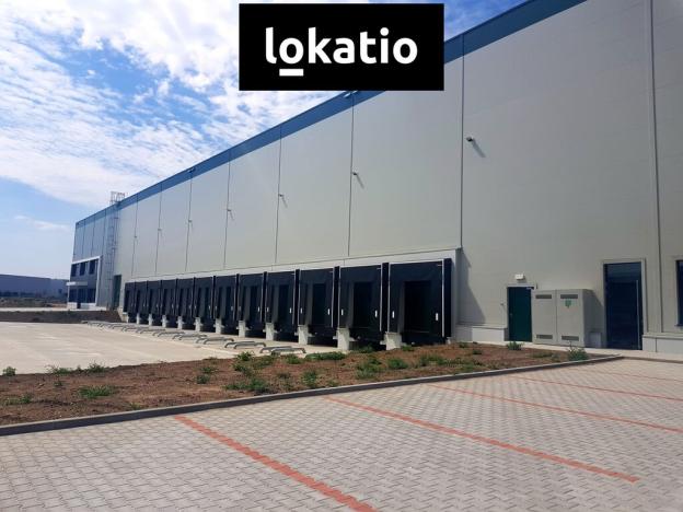 Pronájem skladu, Úžice, 14707 m2