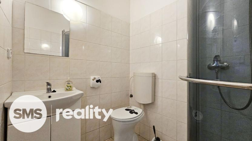 Pronájem bytu 1+kk, Opava - Město, Nákladní, 32 m2