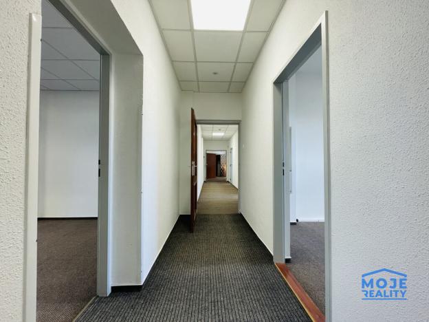 Pronájem kanceláře, Plzeň - Jižní Předměstí, náměstí T. G. Masaryka, 365 m2