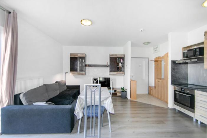 Prodej bytu 2+kk, Tachov, Na Třešňovce, 36 m2