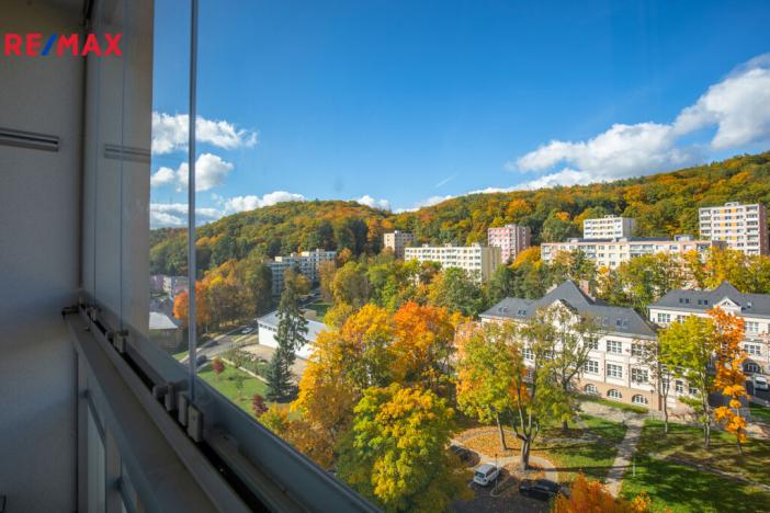 Prodej bytu 2+1, Litvínov - Horní Litvínov, Tylova, 55 m2