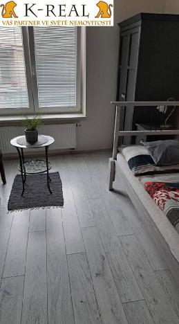 Pronájem bytu 1+kk, Brno, Pražská, 23 m2