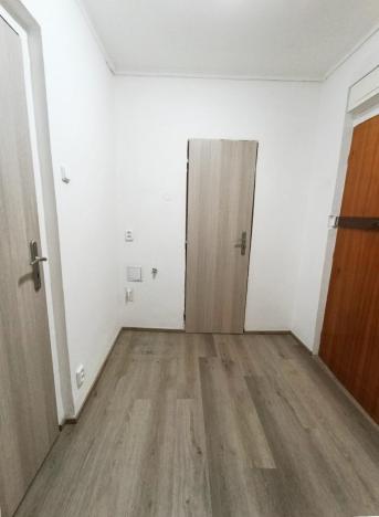 Prodej bytu 2+kk, Praha - Žižkov, Žerotínova, 42 m2