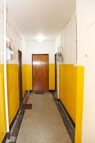 Prodej bytu 2+kk, Praha - Žižkov, Žerotínova, 42 m2