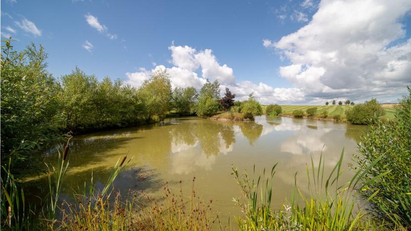 Prodej komerční, Broumov - Velká Ves, Kladská