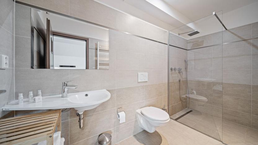 Prodej komerční, Broumov - Velká Ves, Kladská