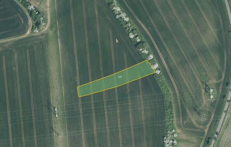 Prodej pole, Kroměříž, 10084 m2