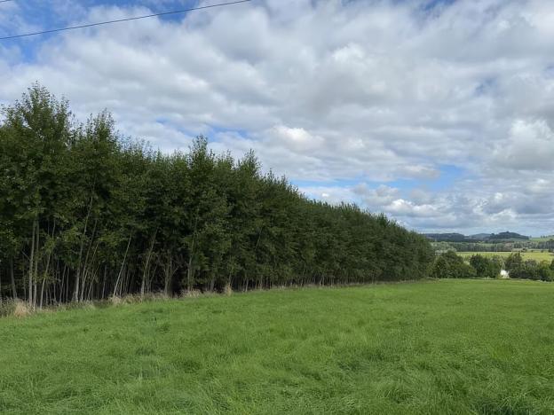 Prodej pole, Česká Kamenice, 108179 m2