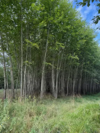 Prodej pole, Česká Kamenice, 108179 m2