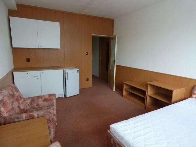 Pronájem bytu 1+kk, Brno, Heršpická, 23 m2