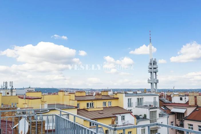 Prodej bytu 4+kk, Praha - Žižkov, Vinohradská, 139 m2