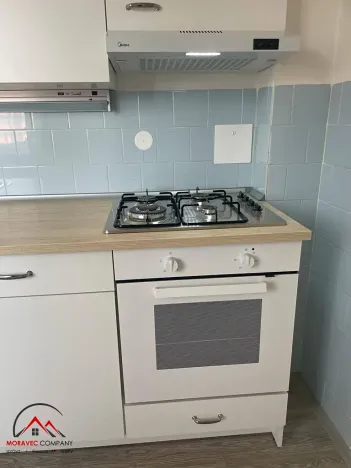 Pronájem bytu 1+1, Ostrava, Newtonova, 41 m2