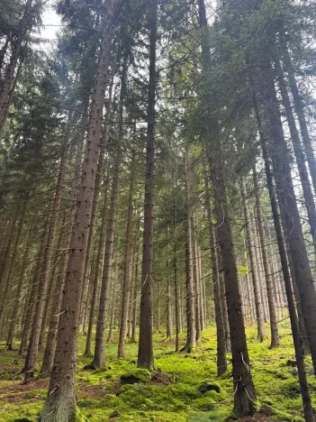 Prodej podílu pole, Nicov, 2230 m2