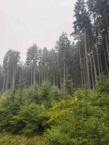 Prodej podílu pole, Nicov, 2230 m2