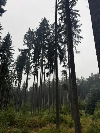 Prodej podílu pole, Nicov, 2230 m2