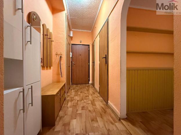 Prodej bytu 2+1, Teplice - Řetenice, Duchcovská, 53 m2