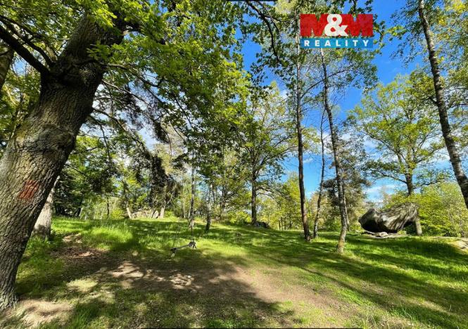 Prodej lesa, Petrovice - Žemličkova Lhota, 3719 m2