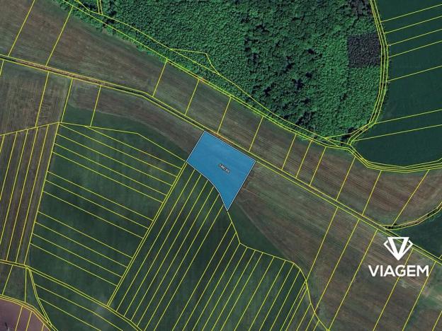 Prodej podílu pole, Lodín, 134 m2