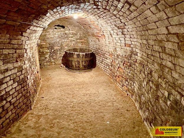 Prodej - jiné, Nový Šaldorf-Sedlešovice - Nový Šaldorf, 145 m2