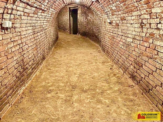 Prodej - jiné, Nový Šaldorf-Sedlešovice - Nový Šaldorf, 145 m2