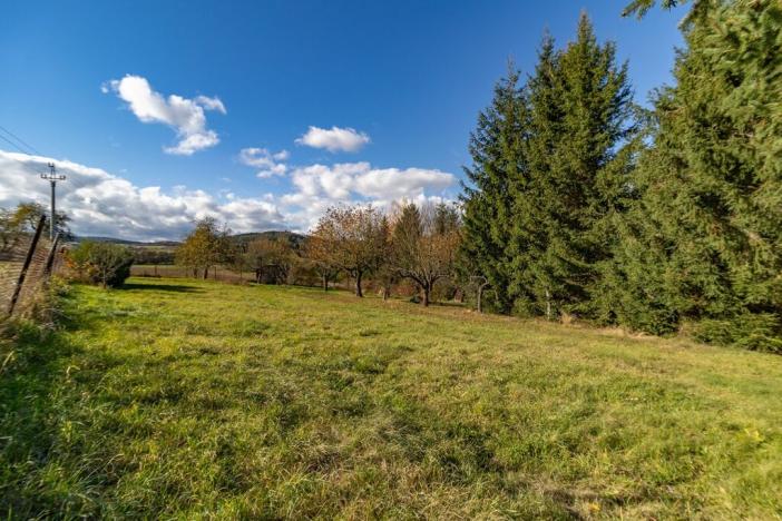 Prodej pozemku pro bydlení, Žichovice, 2306 m2