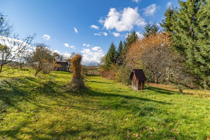 Prodej pozemku pro bydlení, Žichovice, 2306 m2