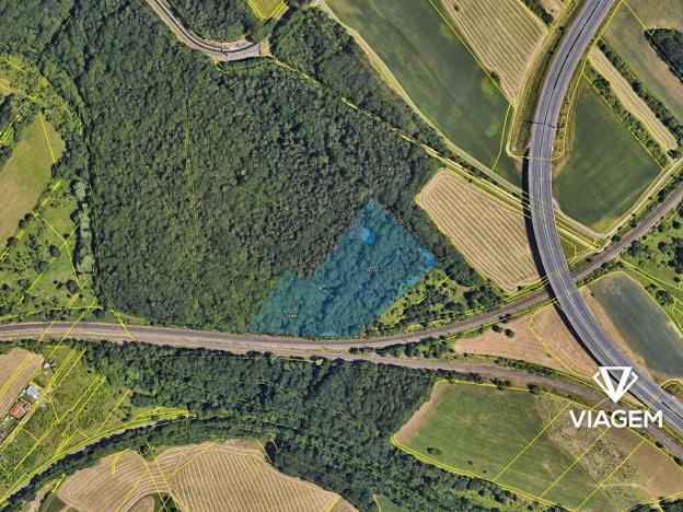 Prodej lesa, Spořice, 19930 m2