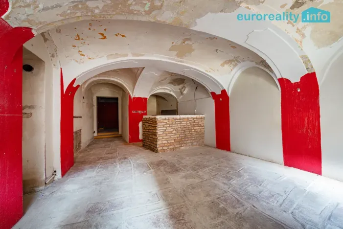 Prodej atypického bytu, Cheb, Cechovní, 168 m2