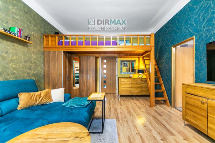 Prodej vícegeneračního domu, Plzeň - Jižní Předměstí, Kotkova, 330 m2