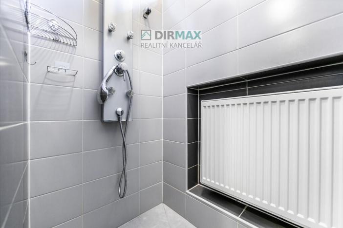 Prodej vícegeneračního domu, Plzeň - Jižní Předměstí, Kotkova, 330 m2