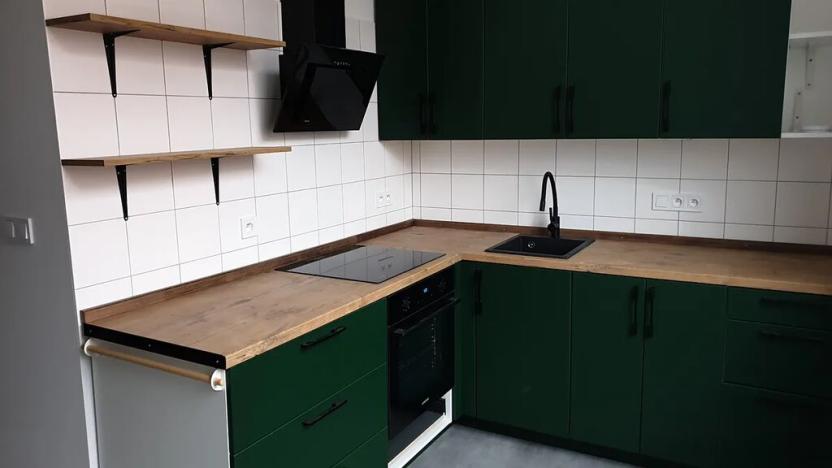 Pronájem bytu 1+1, Teplice, Jankovcova, 48 m2