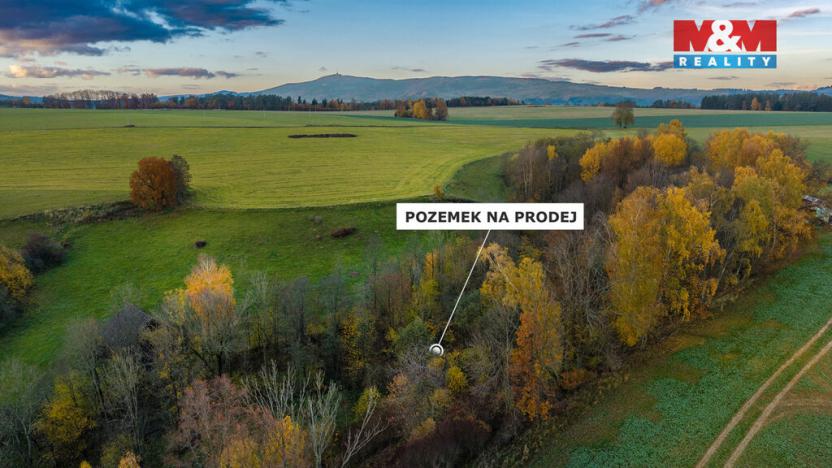 Prodej louky, Bílá - Hradčany, 6046 m2