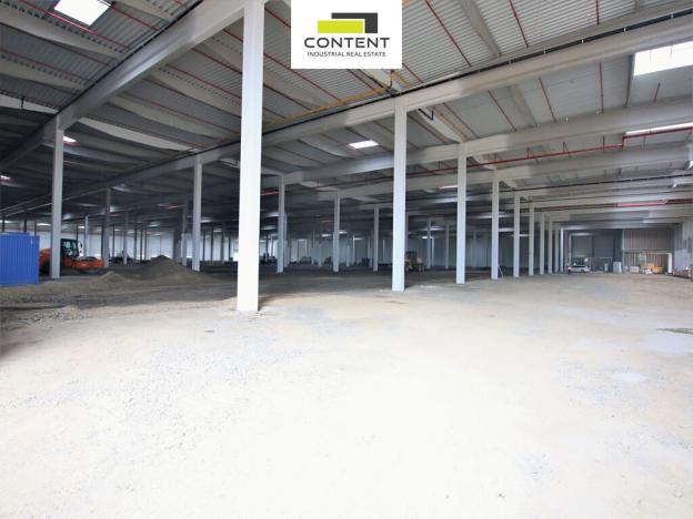 Pronájem výrobních prostor, Lovosice, 8330 m2