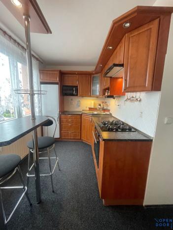 Pronájem bytu 3+1, Chomutov, Borová, 60 m2