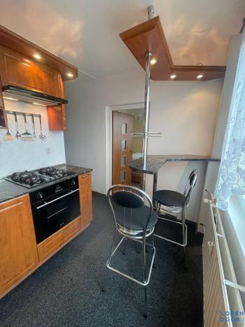 Pronájem bytu 3+1, Chomutov, Borová, 60 m2