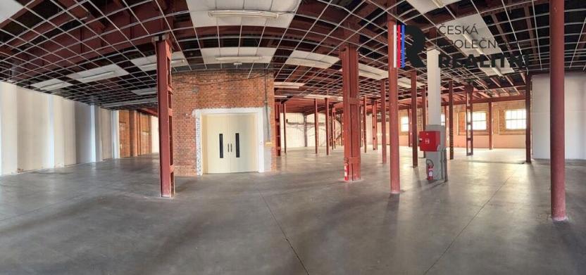 Pronájem výrobních prostor, Dolní Rychnov, Bergmannova, 5000 m2