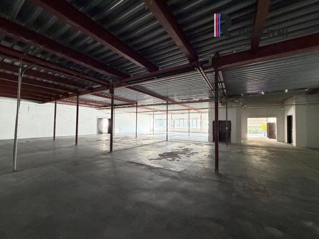 Pronájem výrobních prostor, Dolní Rychnov, Bergmannova, 5000 m2