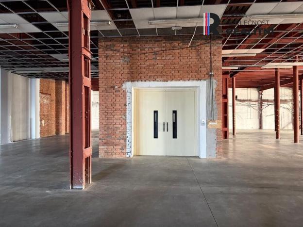 Pronájem výrobních prostor, Dolní Rychnov, Bergmannova, 5000 m2