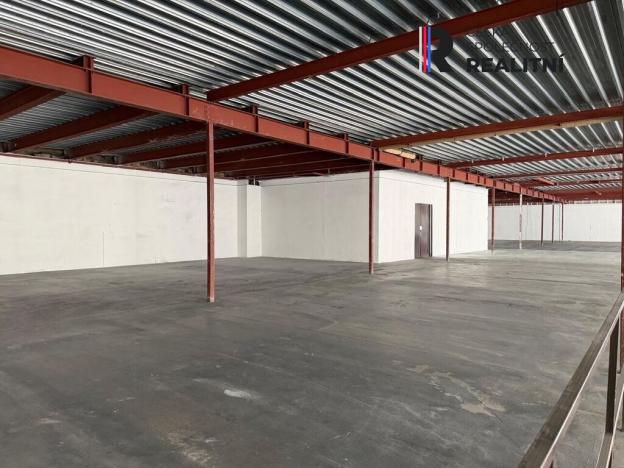 Pronájem výrobních prostor, Dolní Rychnov, Bergmannova, 5000 m2