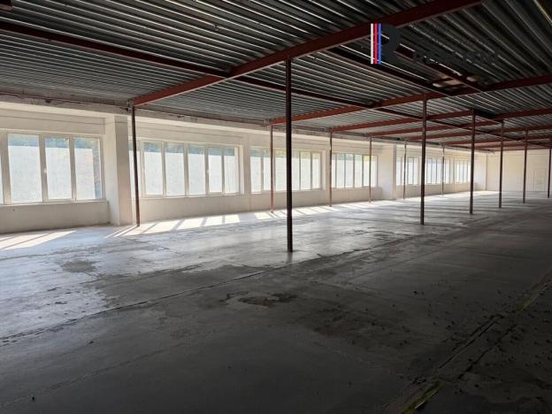 Pronájem výrobních prostor, Dolní Rychnov, Bergmannova, 5000 m2