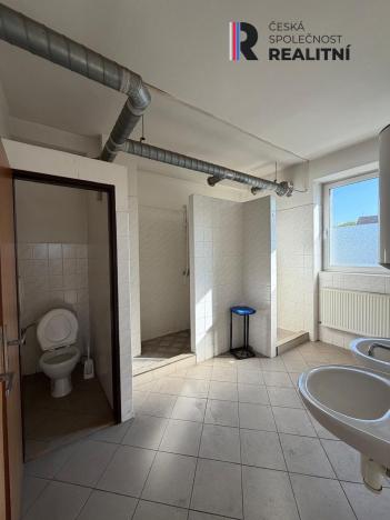 Pronájem výrobních prostor, Dolní Rychnov, Bergmannova, 5000 m2