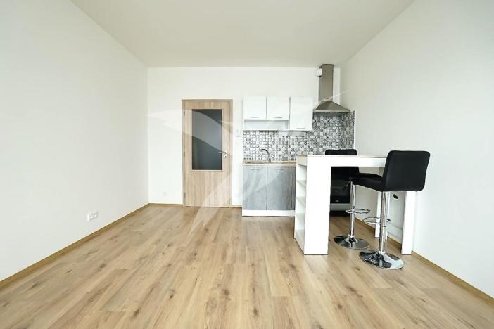 Pronájem bytu 1+kk, Plzeň, Nemocniční, 29 m2