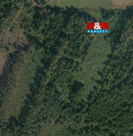 Prodej lesa, Libín - Slavošovice, 32765 m2