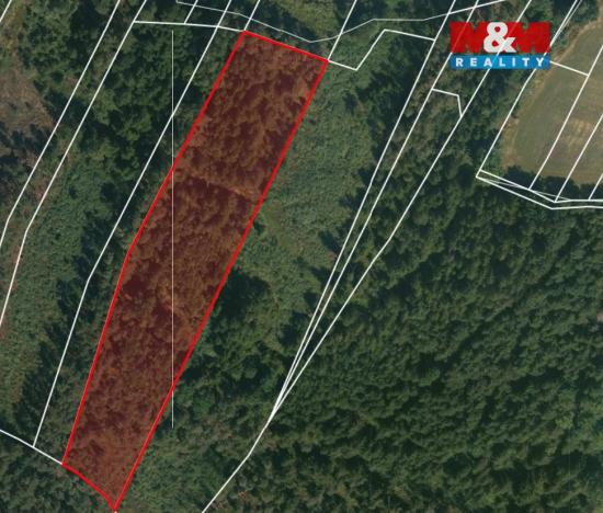 Prodej lesa, Libín - Slavošovice, 32765 m2