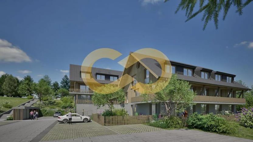 Prodej bytu 3+kk, Nové Hutě, 55 m2