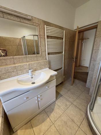 Pronájem rodinného domu, Ostrava, Křížkovského, 300 m2