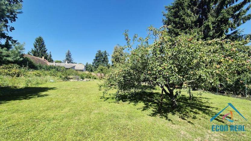 Prodej zemědělské usedlosti, Hlubyně, 300 m2